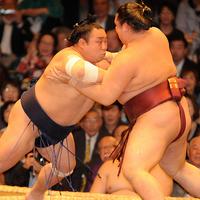 Champion Asashōryū in action during the May 2008 Grand Tournament